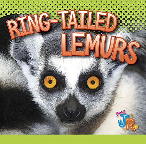 Ring-tailed lemurs